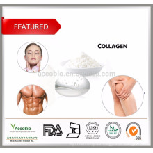 Cosmetic ingredients 100%Pure Fish Collagen Powder